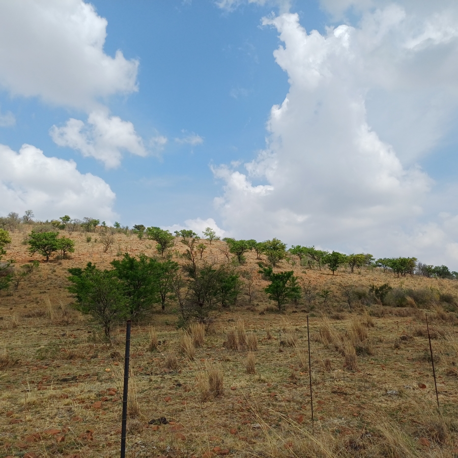 0 Bedroom Property for Sale in Lindequesdrif North West